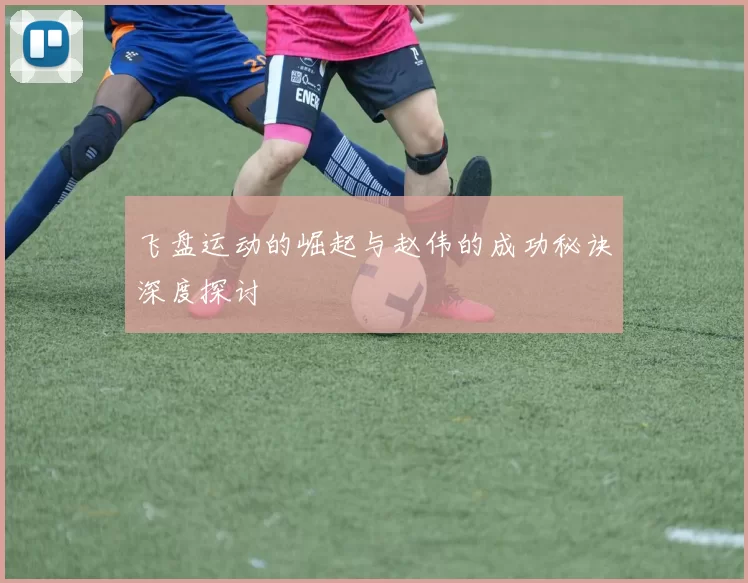 飞盘运动的崛起与赵伟的成功秘诀深度探讨