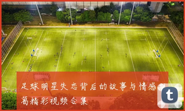 足球明星失恋背后的故事与情感纠葛精彩视频合集