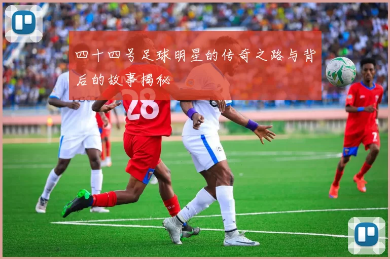 四十四号足球明星的传奇之路与背后的故事揭秘