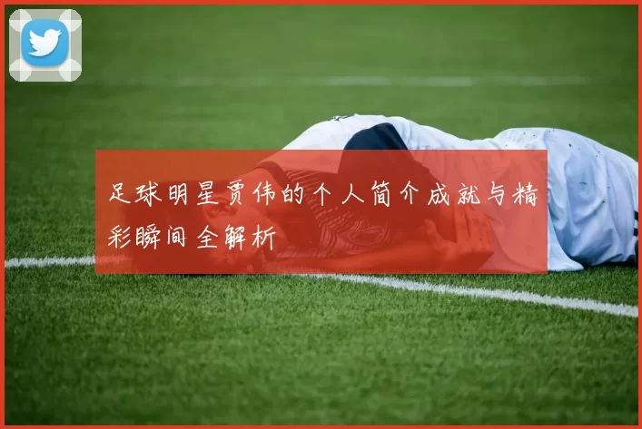 足球明星贾伟的个人简介成就与精彩瞬间全解析