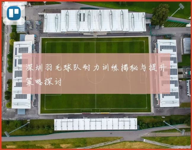 深圳羽毛球队耐力训练揭秘与提升策略探讨
