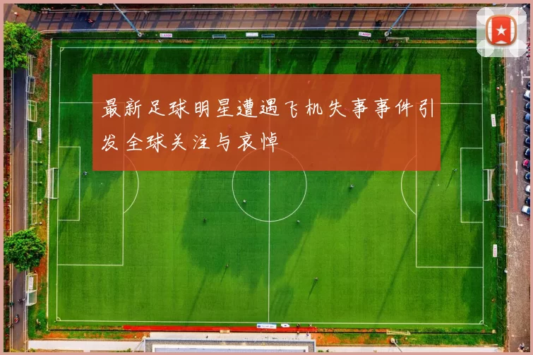 最新足球明星遭遇飞机失事事件引发全球关注与哀悼