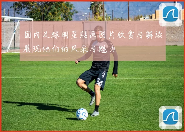 国内足球明星贴画图片欣赏与解读展现他们的风采与魅力