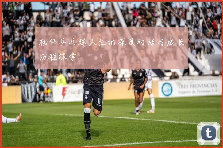 杨伟乒乓球人生的深度对话与成长历程探索