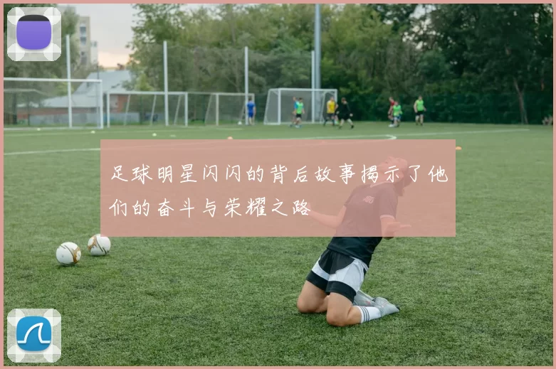 足球明星闪闪的背后故事揭示了他们的奋斗与荣耀之路