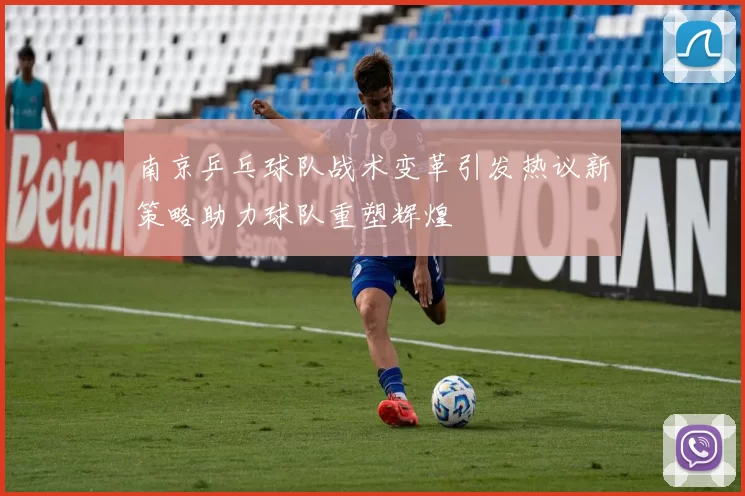 南京乒乓球队战术变革引发热议新策略助力球队重塑辉煌