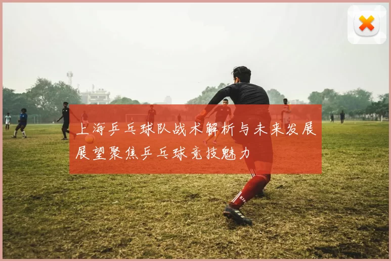 上海乒乓球队战术解析与未来发展展望聚焦乒乓球竞技魅力