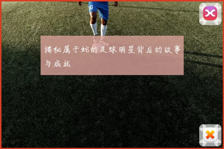 揭秘属于蛇的足球明星背后的故事与成就