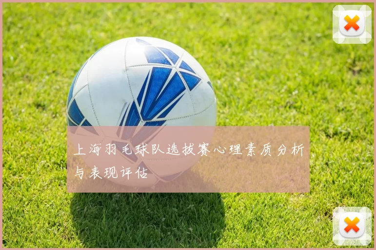 上海羽毛球队选拔赛心理素质分析与表现评估