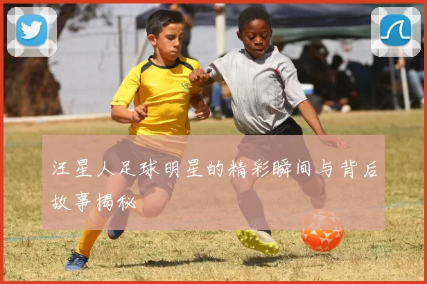 汪星人足球明星的精彩瞬间与背后故事揭秘