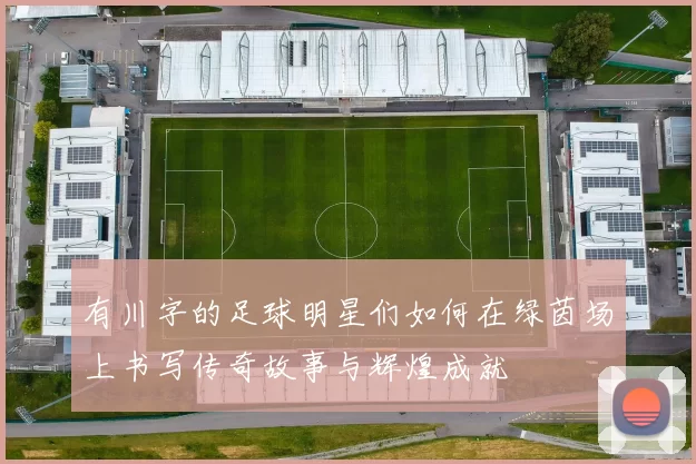 有川字的足球明星们如何在绿茵场上书写传奇故事与辉煌成就