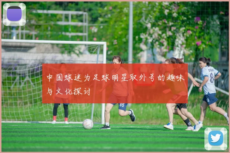 中国球迷为足球明星取外号的趣味与文化探讨