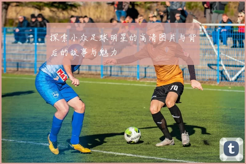 探索小众足球明星的高清图片与背后的故事与魅力