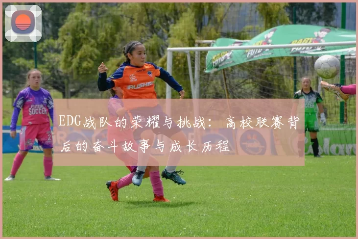 EDG战队的荣耀与挑战：高校联赛背后的奋斗故事与成长历程
