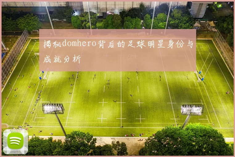 揭秘domhero背后的足球明星身份与成就分析
