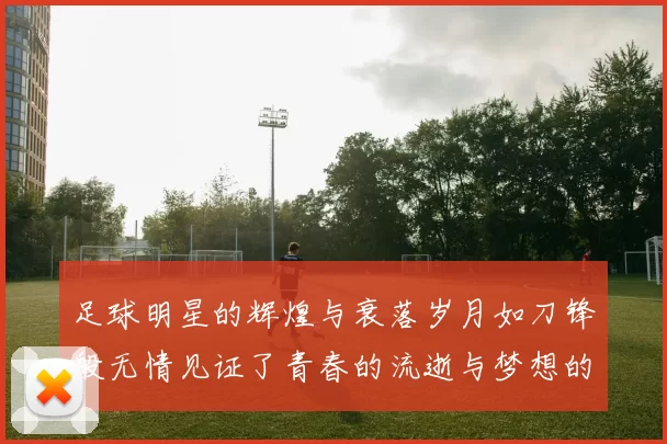 足球明星的辉煌与衰落岁月如刀锋般无情见证了青春的流逝与梦想的破灭