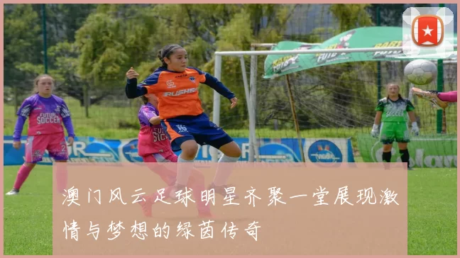 澳门风云足球明星齐聚一堂展现激情与梦想的绿茵传奇