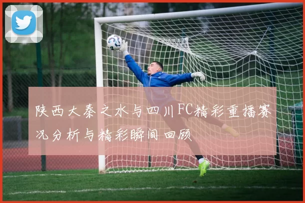 陕西大秦之水与四川FC精彩重播赛况分析与精彩瞬间回顾