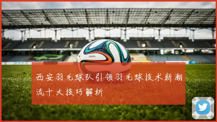 西安羽毛球队引领羽毛球技术新潮流十大技巧解析