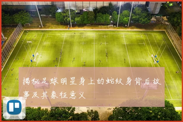 揭秘足球明星身上的蛇纹身背后故事及其象征意义