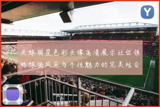 足球明星色彩头像高清展示让你领略球场风采与个性魅力的完美结合