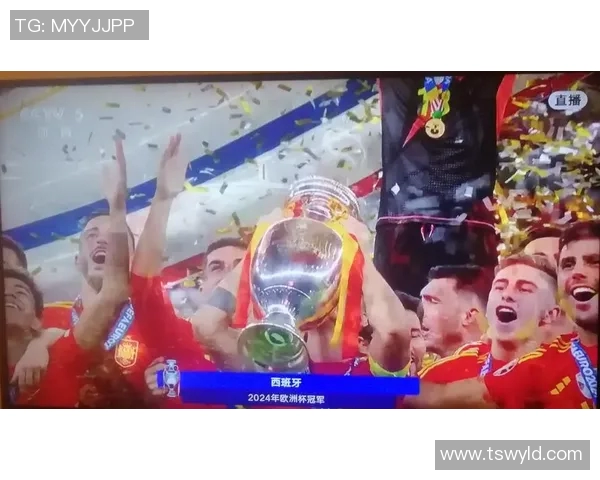 世界杯决赛：足球之巅的角逐与荣耀的历史性时刻