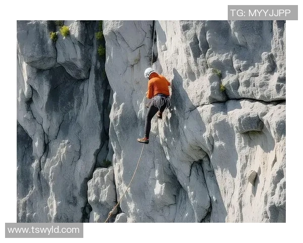 广州攀岩队的快攻策略揭秘与深度分析攀岩运动的魅力与挑战