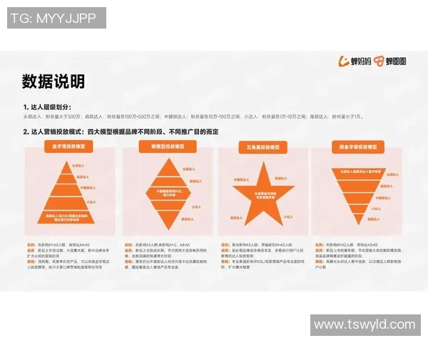 深入分析北京飞盘队的运营策略与发展模式探讨