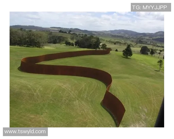 北京攀岩队灵活性引发热议背后的争议与思考